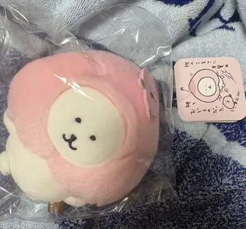 복숭아와 춤추는 마스코트 나가노의 곰