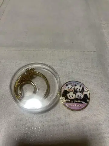 어드벤처 월드 팬더 하마가 메달 요시히마 아야하마 카에데하마 유이하마