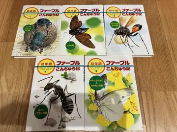 파브르 곤충기 전 10권 유년판