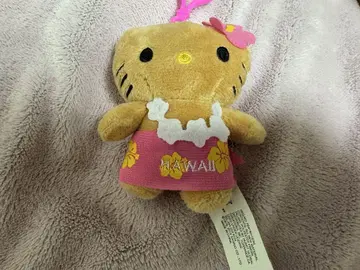 하와이 키티