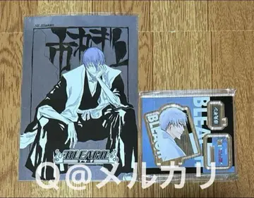 BLEACH 블리치 아크릴 스탠드 & 도비에 엽서 컬렉션 이치마루 긴