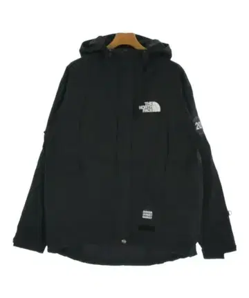 THE NORTH FACE 남성용 마운틴 파카
