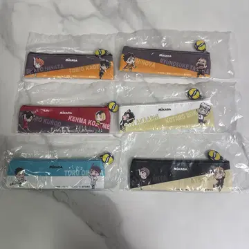 하이큐!! x MIKASA 가로막 콜라보 파우치 전 6종