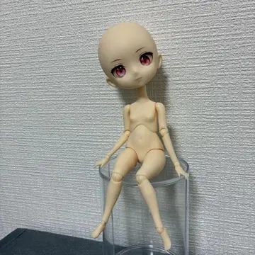 하르모니아 하밍 렘 소체 바디 헤드 아이 1/6 인형