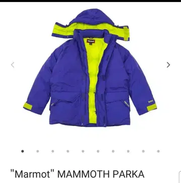 The Apartment Marmot Mammoth Parka