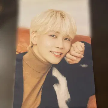 SEVENTEEN 정한 태피스트리