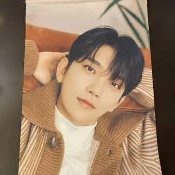 SEVENTEEN 조슈아 태피스트리