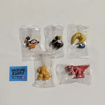 DAISUKE KONDO 5종 set