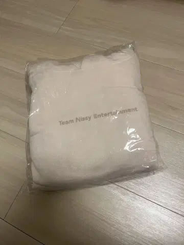 Team Nissy Entertainment 후드티