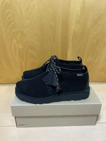 CLARKS Desert Trek GTX