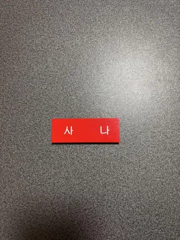 사나 택 배지