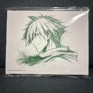 Fate 로빈 후드 캔버스 아트 아처