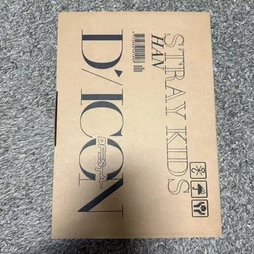 Dicon Stray Kids 지성 포토북