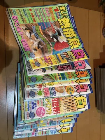 즐거운 양식어 2006-2008 18권