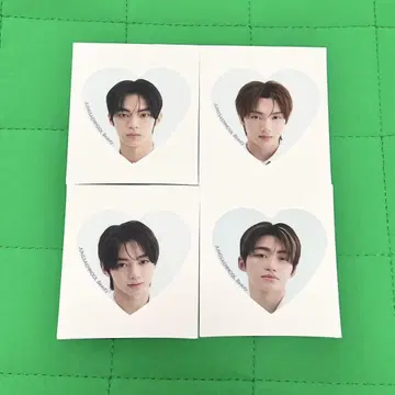 TWS 씰 정샘물 혜택 도훈 영재 한진 지훈