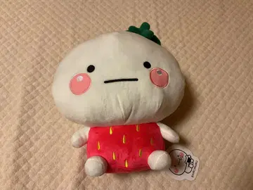 시로마루 이치고 BIG 봉제 인형