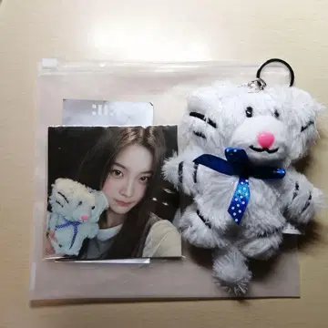 illit 이로하 봉제 인형 트레이딩 카드 1주년 키링