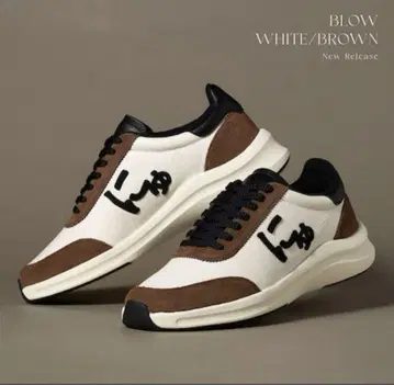 SANGACIO 24.5cm 뉴 [ BLOW WHITE x BROWN ]