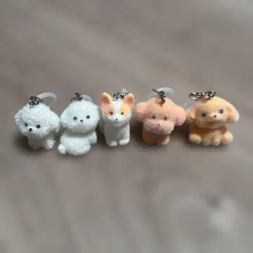 모코푸와 완찬 메지루시 액세서리 컴플리트