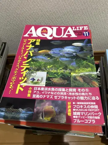 AQUA LIFE 31권 주로 2005-2008년