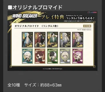 wind breaker 클라우드 포수 브로마이드 컴플리트 세트