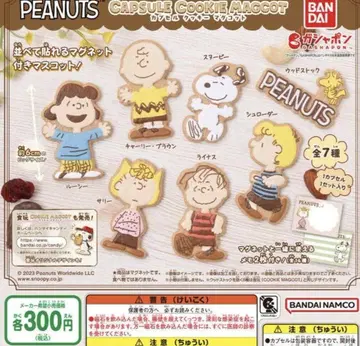PEANUTS 캡슐 쿠키 머그 코트