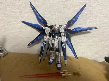 RG 스트라이크 프리덤 건담 완성품