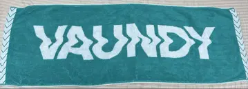 VAUNDY 로고 타월 터콰이즈