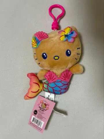 일광화상 키티 하와이