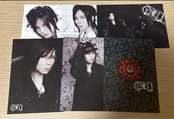 Acid Black Cherry Q.E.D. 엽서