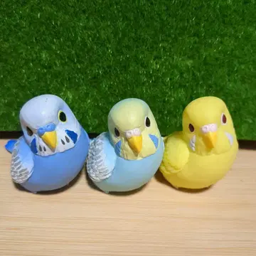 테노리 프렌즈 잉꼬 3종 세트 오파린 레인보우 루치노