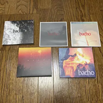 bacho CD 5장 세트 판매 KOTORI age factory