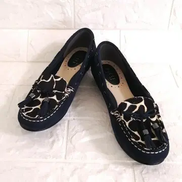 미사용 Pitti 송치 스웨이드 로퍼