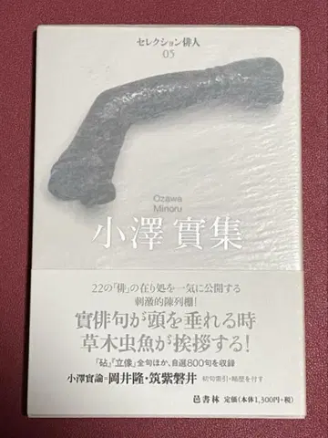 오자와 미노루 집 셀렉션 하이진 05 무라카미쇼린