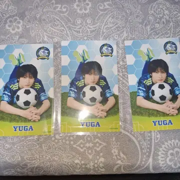 액터즈 리그 복권 E상 하프 브로마이드 이와사키 유가
