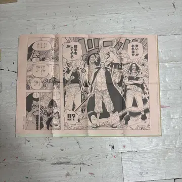 원피스 활판