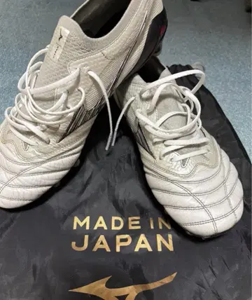 모렐리아 네오 4 베타