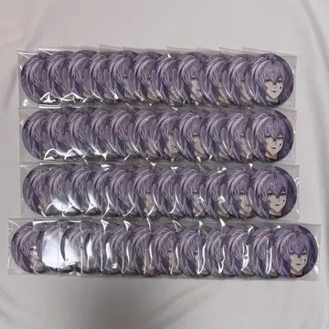 니지산지 호시미치 쇼 1st Anniversary 캔뱃지 45개