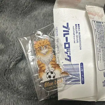 블루 록 x 블랙 고양이 디자인 아크릴 키링