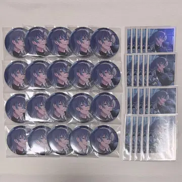 니지산지 호시미치 쇼 생일 굿즈 2024 캔뱃지 폴라로이드풍 카드 20개