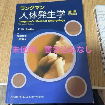 랭그먼 인체 발생학 제11판