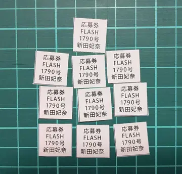 니다 히나 FLASH 응모권