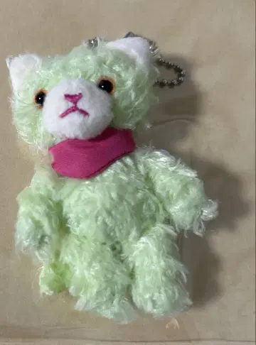 우타프리 파라치아 쁘띠 2