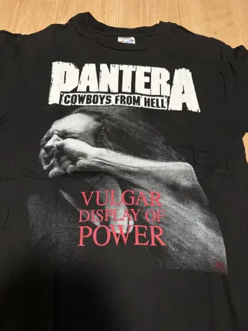 90s PANTERA 빈티지 밴드 T셔츠 L 싱글 Hanes