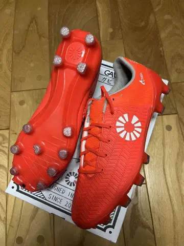 새상품 대특가 가빅 마투 인 이십 25cm