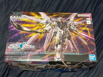 HG 1/144 마이티 스트라이크 프리덤 건담