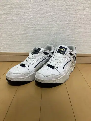 PUMA SLIPSTREAM