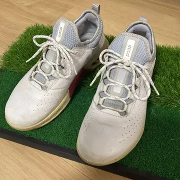 Ecco 바이옴 C4 골프화