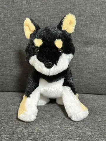 [ 새상품급 ] 베스트에버 강아지 봉제 인형 시바견 블랙 시바 콩 시바