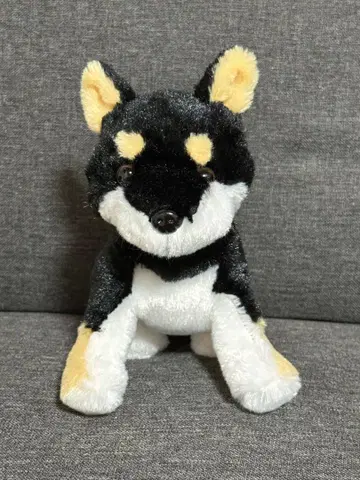 [ 새상품급 ] 베스트에버 강아지 봉제 인형 시바견 블랙 시바 콩 시바